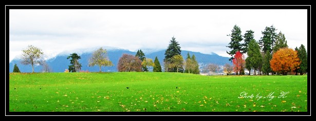 LinSen_StanleyPark28.JPG
