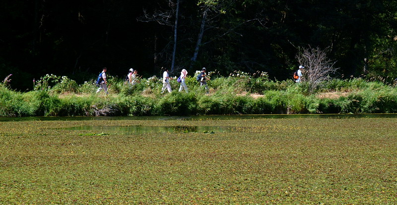 DSCF1061-1.jpg
