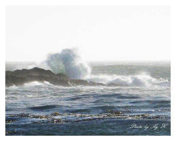 LinSen_WestCoast_ (61).JPG
