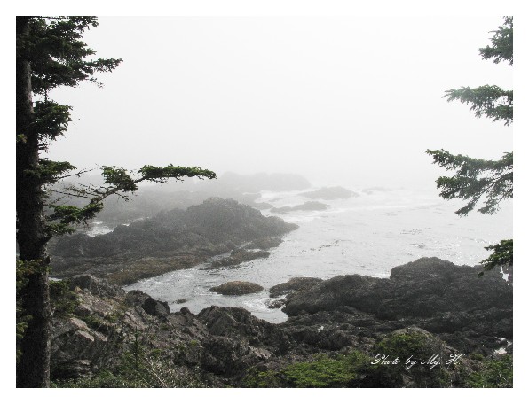 LinSen_WestCoast_ (152).JPG