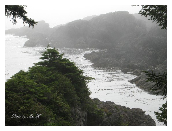 LinSen_WestCoast_ (153).JPG