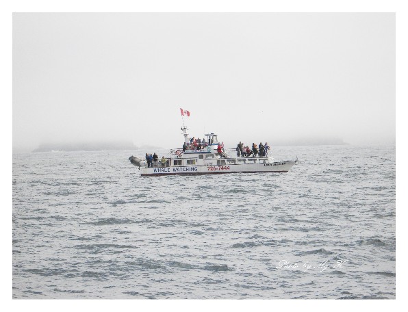 LinSen_WestCoast_ (168).JPG