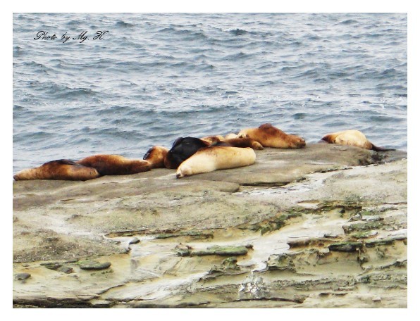LinSen_WestCoast_ (182).JPG