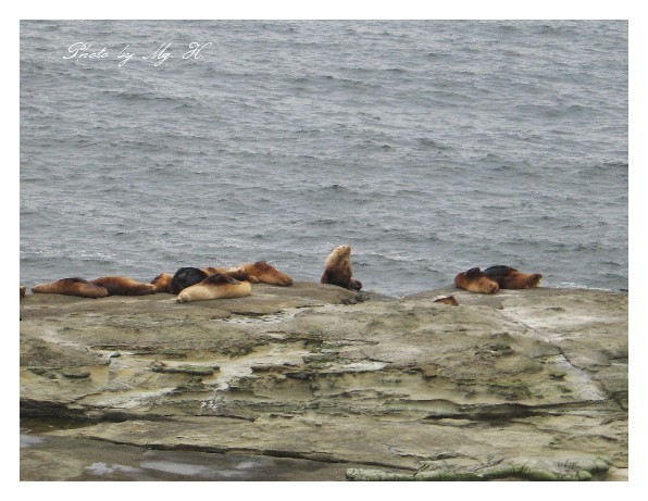 LinSen_WestCoast_ (187).JPG