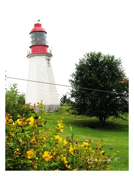 LinSen_WestCoast_ (190).JPG