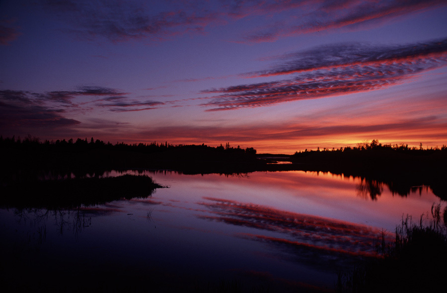 14ҮηϼҮηyellowknife.jpg