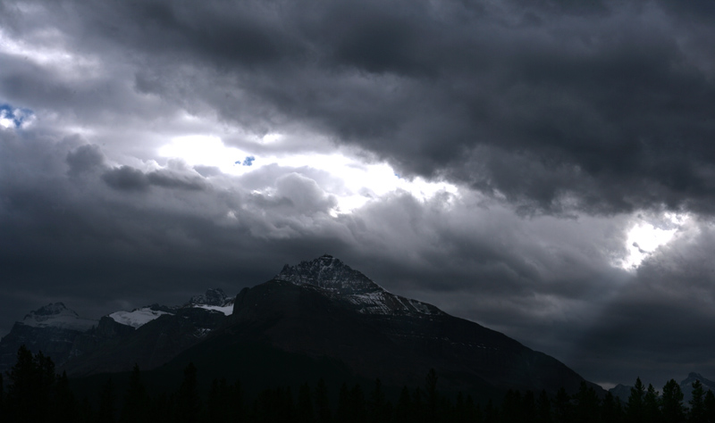 YY7B8179-3.jpg