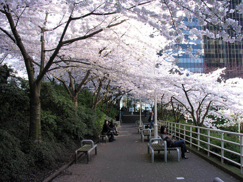 20070327 142009.JPG