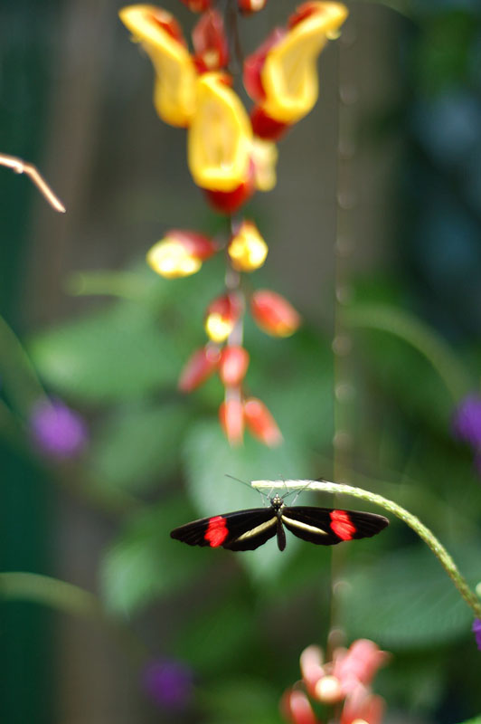 DSC_0228A.jpg