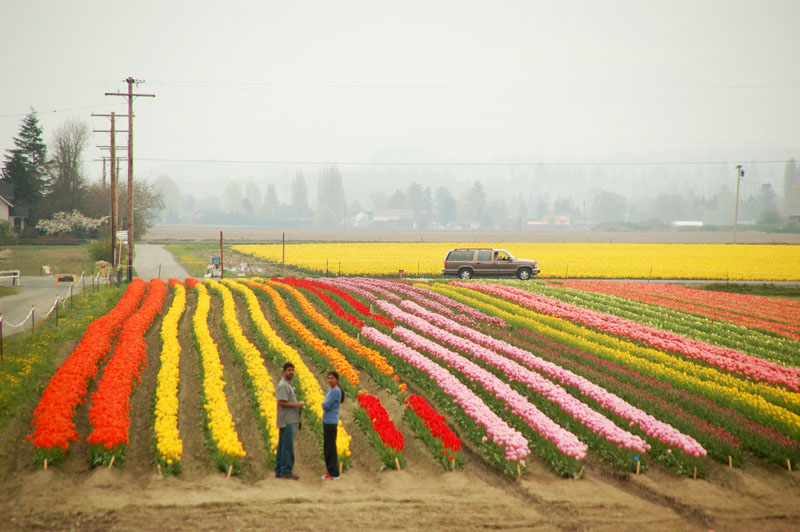 DSC_0252A.jpg