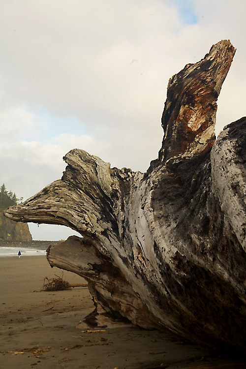 First Beach.jpg