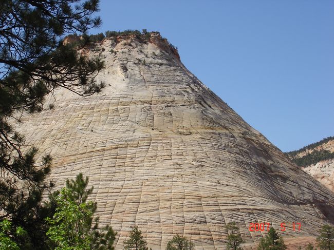 UT 344-1.jpg