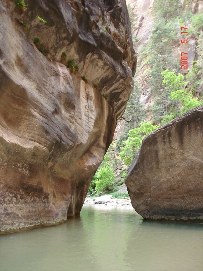 Zion 028-1.jpg