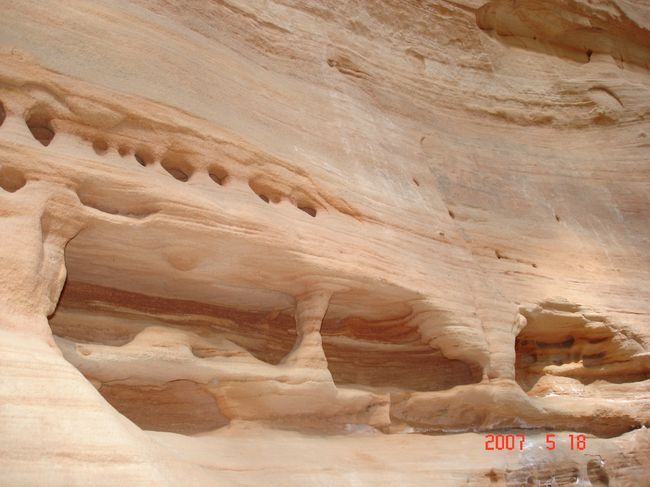 Zion 043-1.jpg