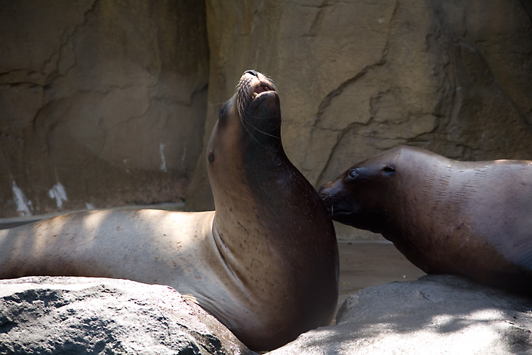 Portland Zoo.jpg