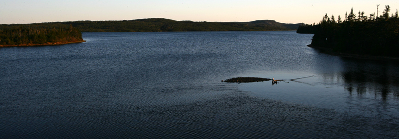YY7B7364.jpg
