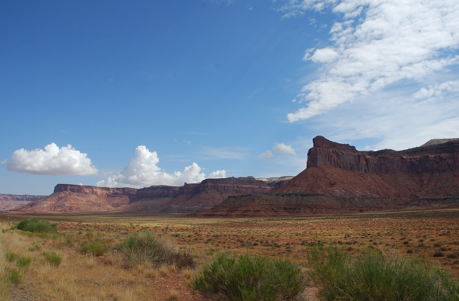 DSC_1294.JPG