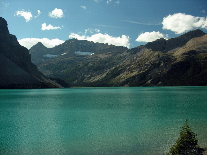 Bow Lake.jpg