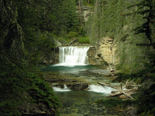 Johnston Canyon Fall.jpg