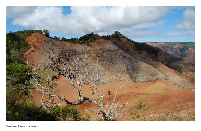 kauai_1.jpg