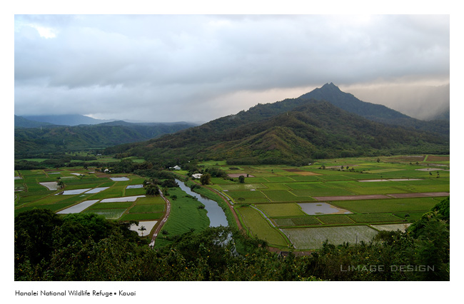 kauai_5.jpg