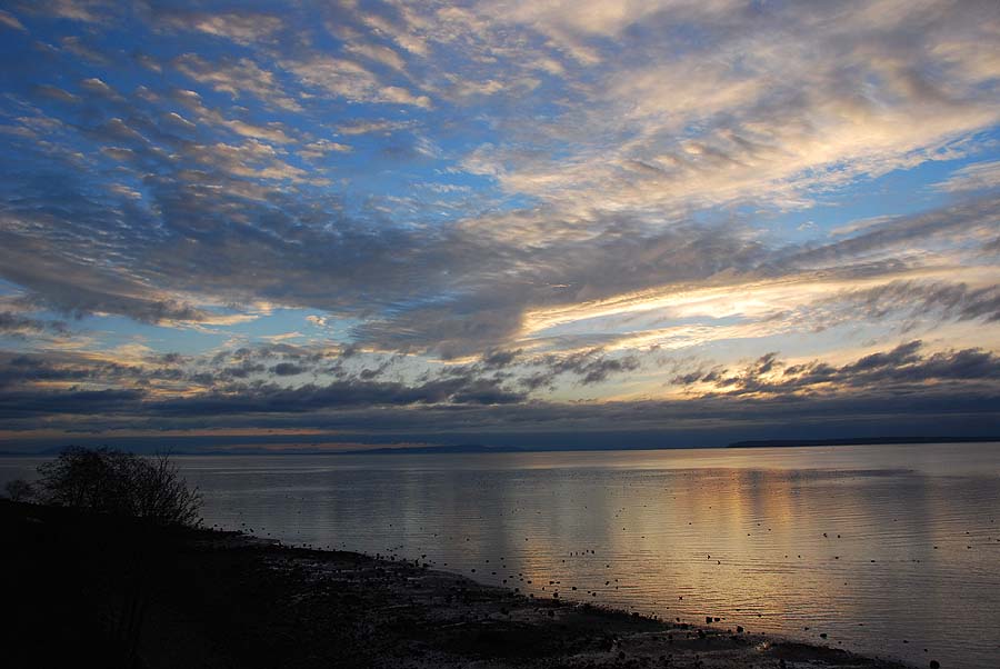 DSC_4717-s.jpg