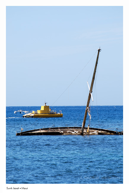maui_1.jpg