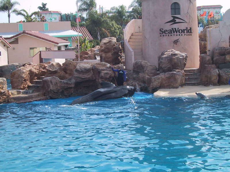 seaworld1.jpg