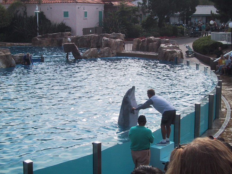 seaworld3.jpg