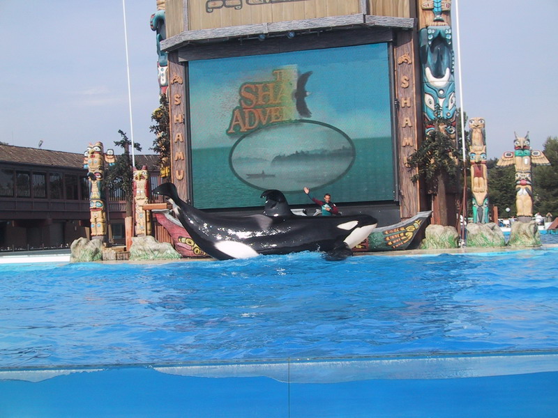 seaworld4.jpg