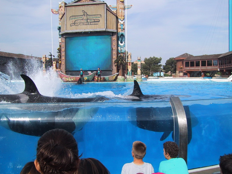 seaworld5.jpg