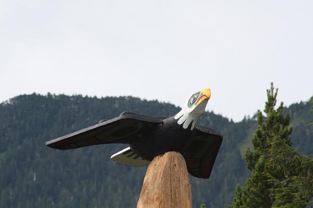 IMG_2871.JPG