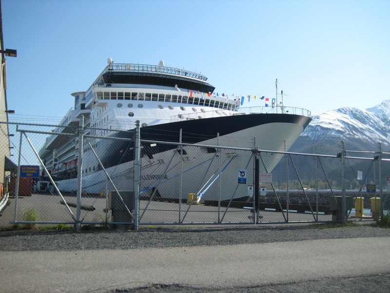 202.JPG