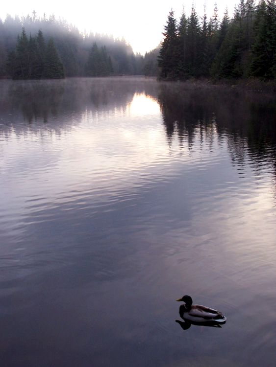 204_0406_r1.jpg