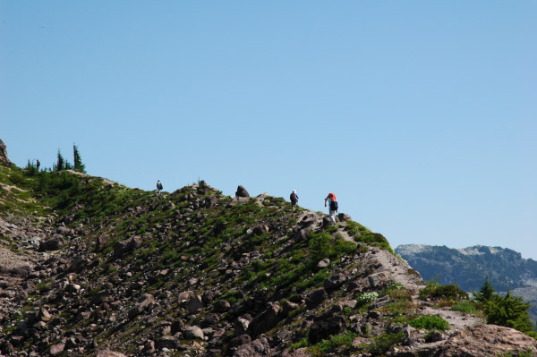 DSC_1798.JPG