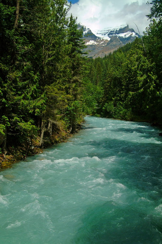 DSCF3715-1.jpg
