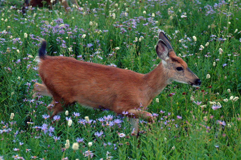 DSCF4074-1.jpg
