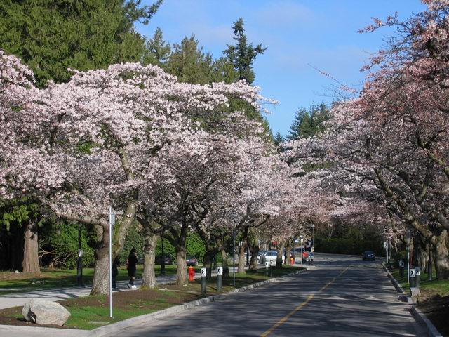 External - English