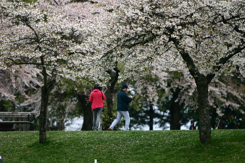 Spring-2-800.jpg