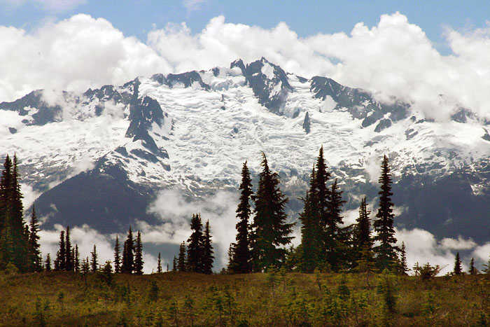 view2.jpg